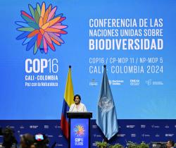 © AFP