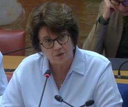 © Capture d&#039;écran / Sénat