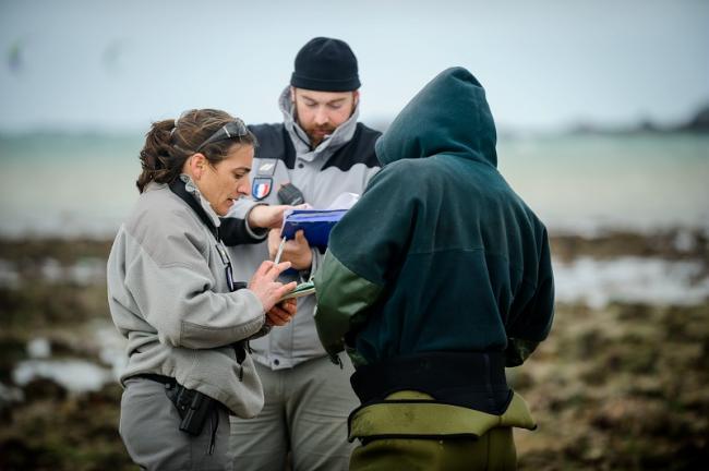 Arnaud Bouissou / Terra