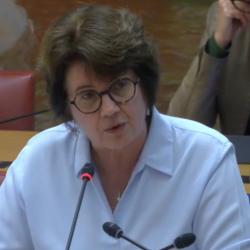 © Capture d'écran / Sénat