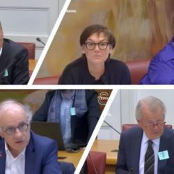 © Captures d'écran / Sénat
