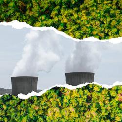 Les labels privés de développement durable seront plus strictement encadrés par les nouvelles règles européennes contre l’écoblanchiment. © Getty Images