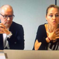 © Capture d'écran du webinaire de l'ISTNF